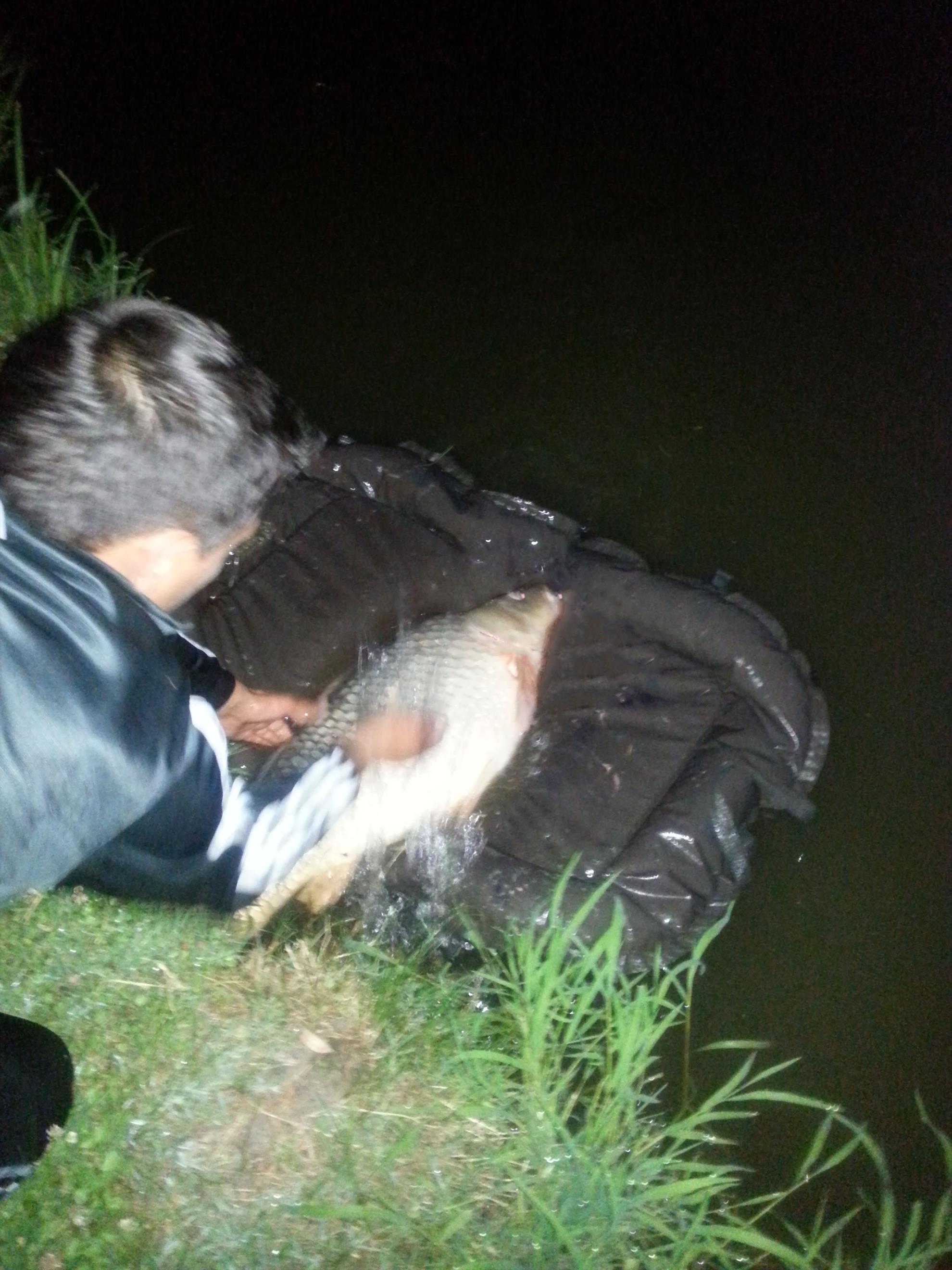 Moara Vlasiei 2 11 - 12 august 2015 - 20150812031004.jpg